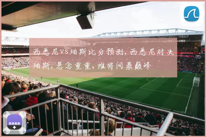 西悉尼vs珀斯比分预测,西悉尼对决珀斯,悬念重重,谁将问鼎巅峰
