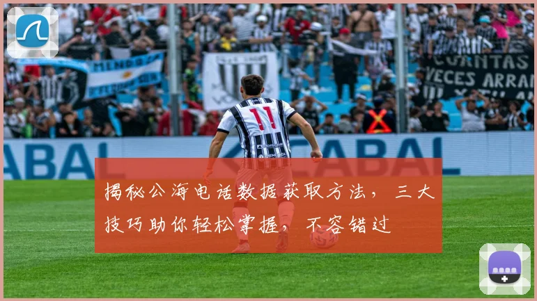 揭秘公海电话数据获取方法，三大技巧助你轻松掌握，不容错过